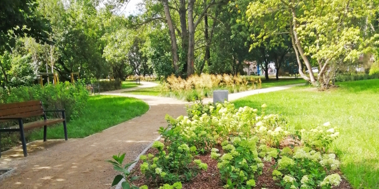 Park Zielone Leszczynki