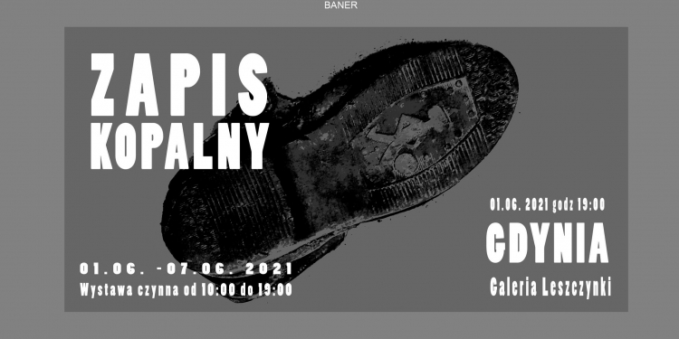 Zapis kopalny